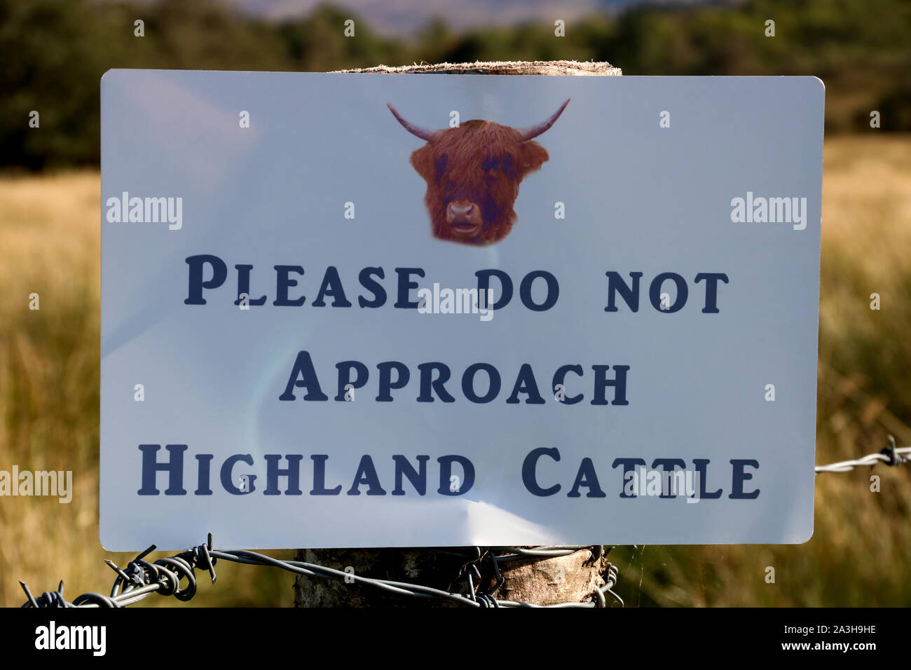 Ne pas approcher d'un signe sur les bovins highland scottish fencepost Banque D'Images