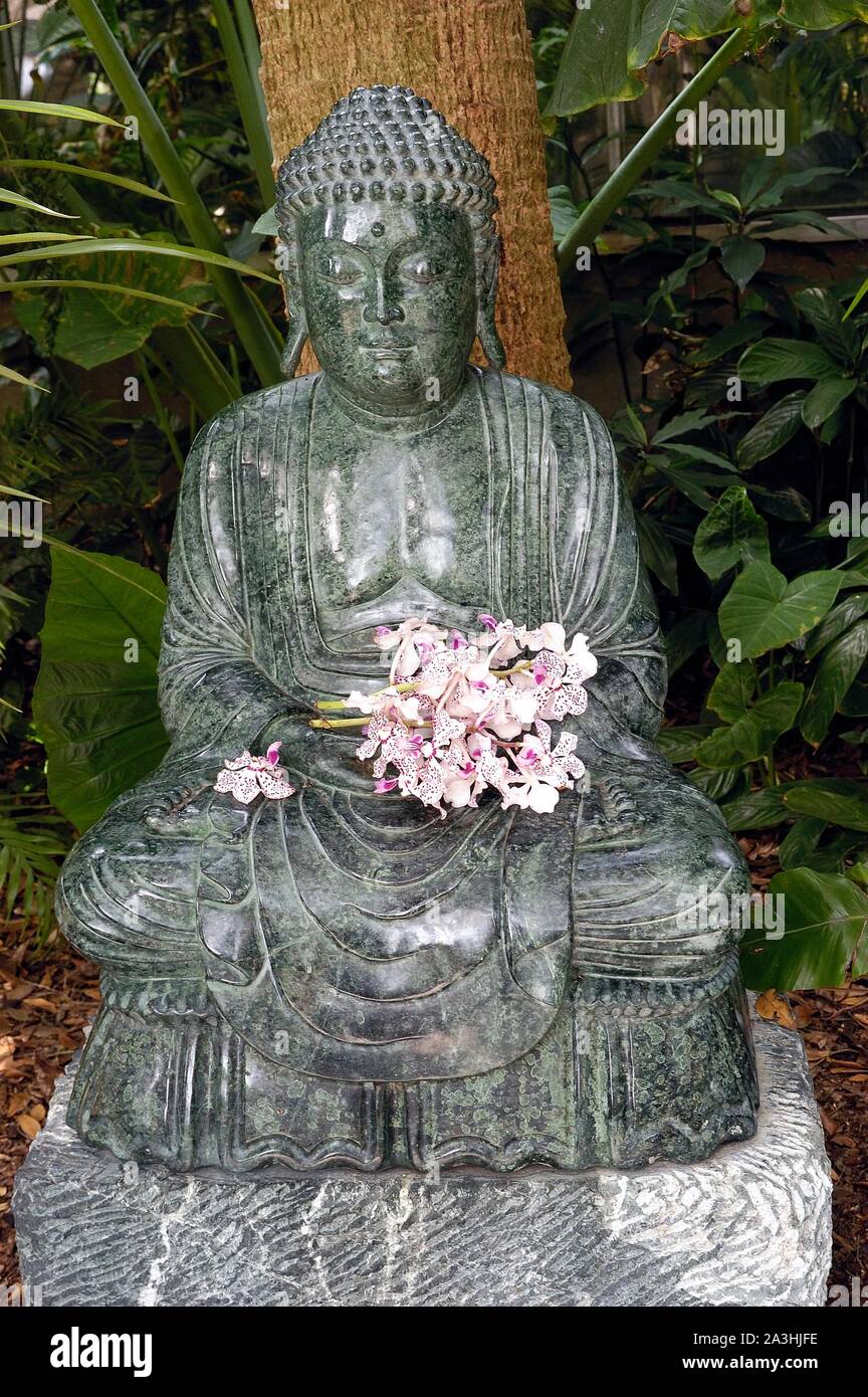 Bouddha avec ordhids à Marie Selby Botanic Gardens, Sarasota, Floride Banque D'Images