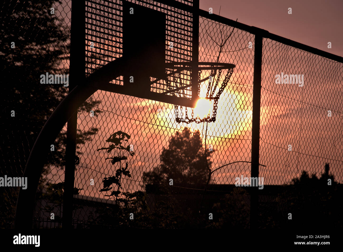 Panier de basket-ball de Silhouette au coucher du soleil avec des arbres Banque D'Images