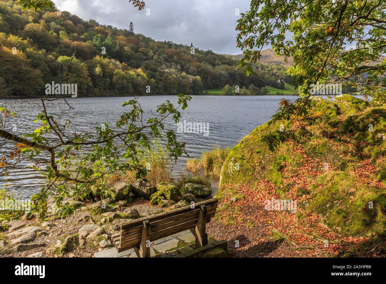 Grasmere, parc national de lake District, Cumbria, England, UK go Banque D'Images