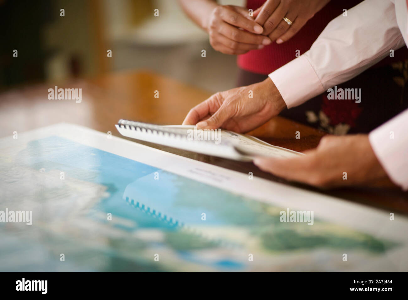 Documents à l'étude par business woman dans un bureau. Banque D'Images