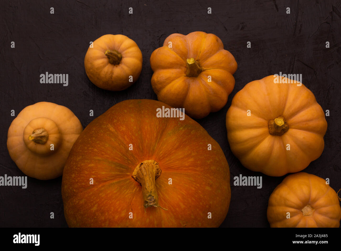 Pumpkins sur table noire. Arrière-plan de l'Halloween à la citrouille. Copier l'espace. Vue d'en haut Banque D'Images