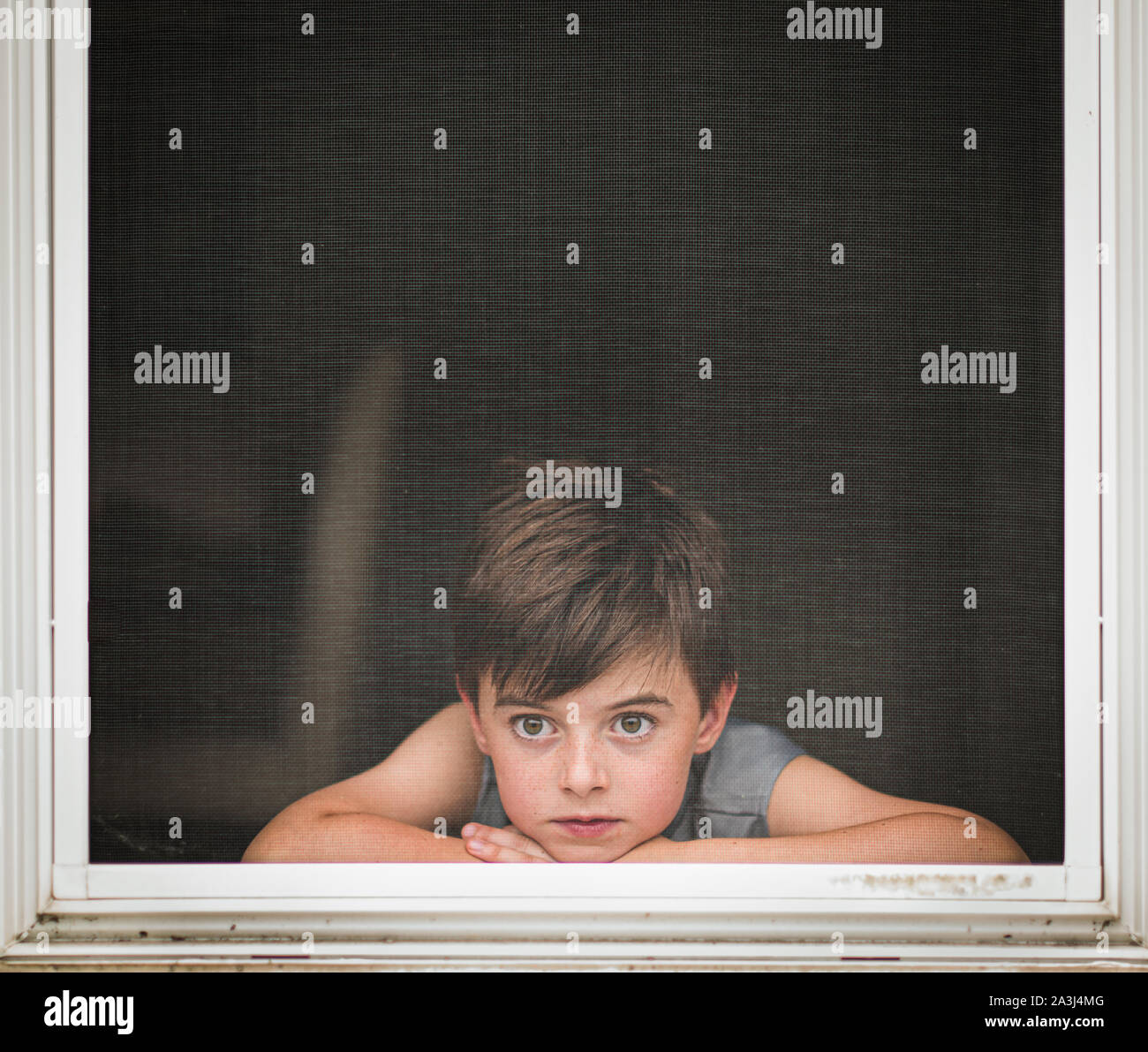 Jeune garçon à la recherche à travers l'écran d'une fenêtre ouverte. Banque D'Images