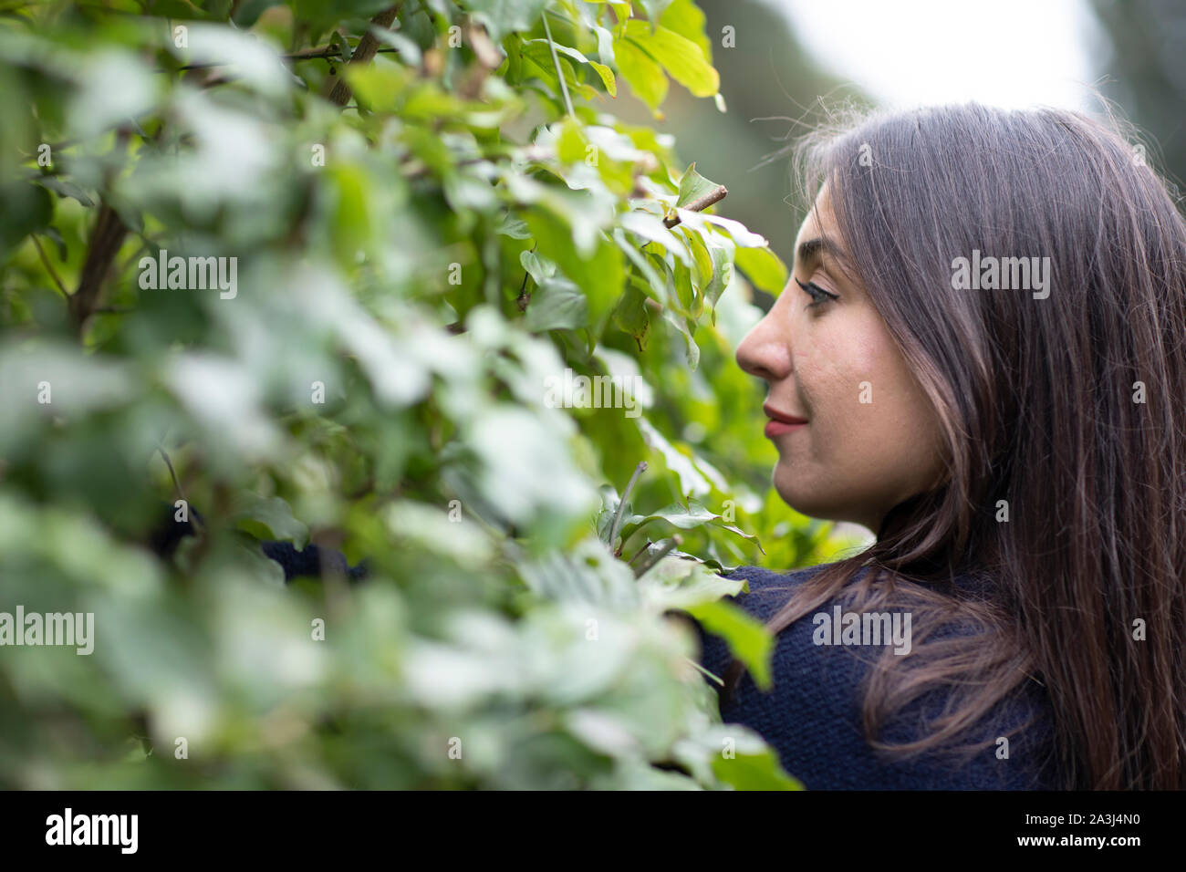 Young woman gardening Banque D'Images