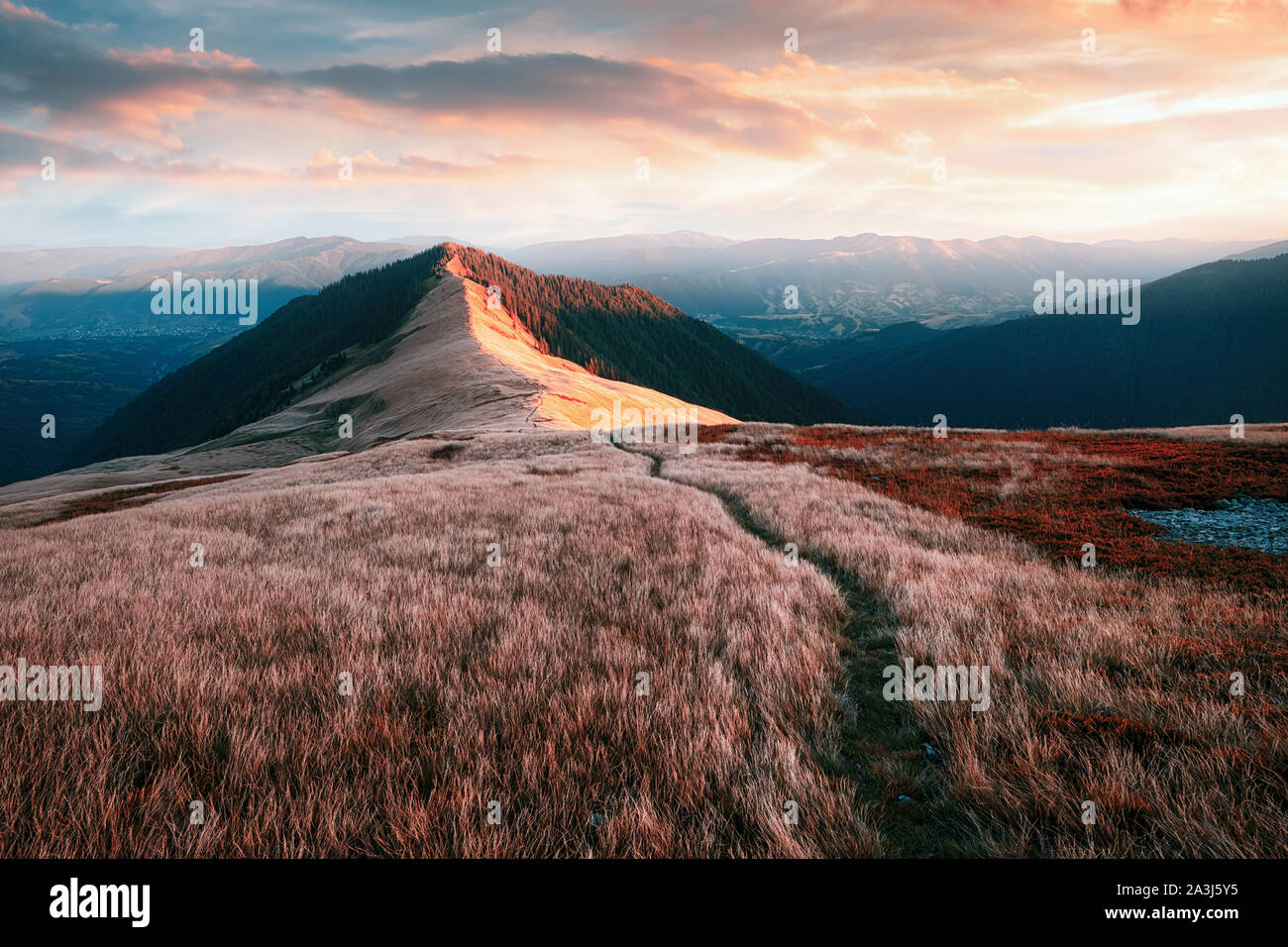 Vue de l'herbe des collines avec chemin d'accès dans les Carpates par soir rougeoyant du soleil. Scène d'automne spectaculaire. Photographie de paysage Banque D'Images