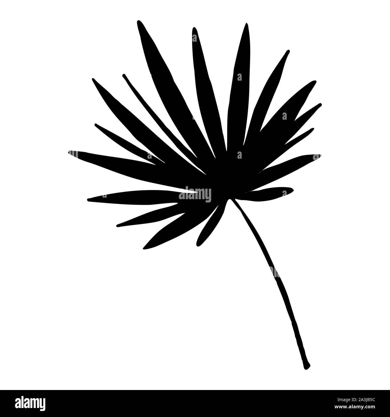 Palm tree silhouette feuillage vector illustration. Feuilles de cocotier symbole noir. Jungle tropicale, la flore de la forêt tropicale. Plante exotique leafage isolé sur fond blanc. Élément de design de l'affiche de la botanique Illustration de Vecteur Palm tree silhouette feuillage vector illustration. Feuilles de cocotier symbole noir. Jungle tropicale, la flore de la forêt tropicale. Plante exotique leafage isolé sur fond blanc. Élément de design de l'affiche de la botanique Illustration de Vecteur