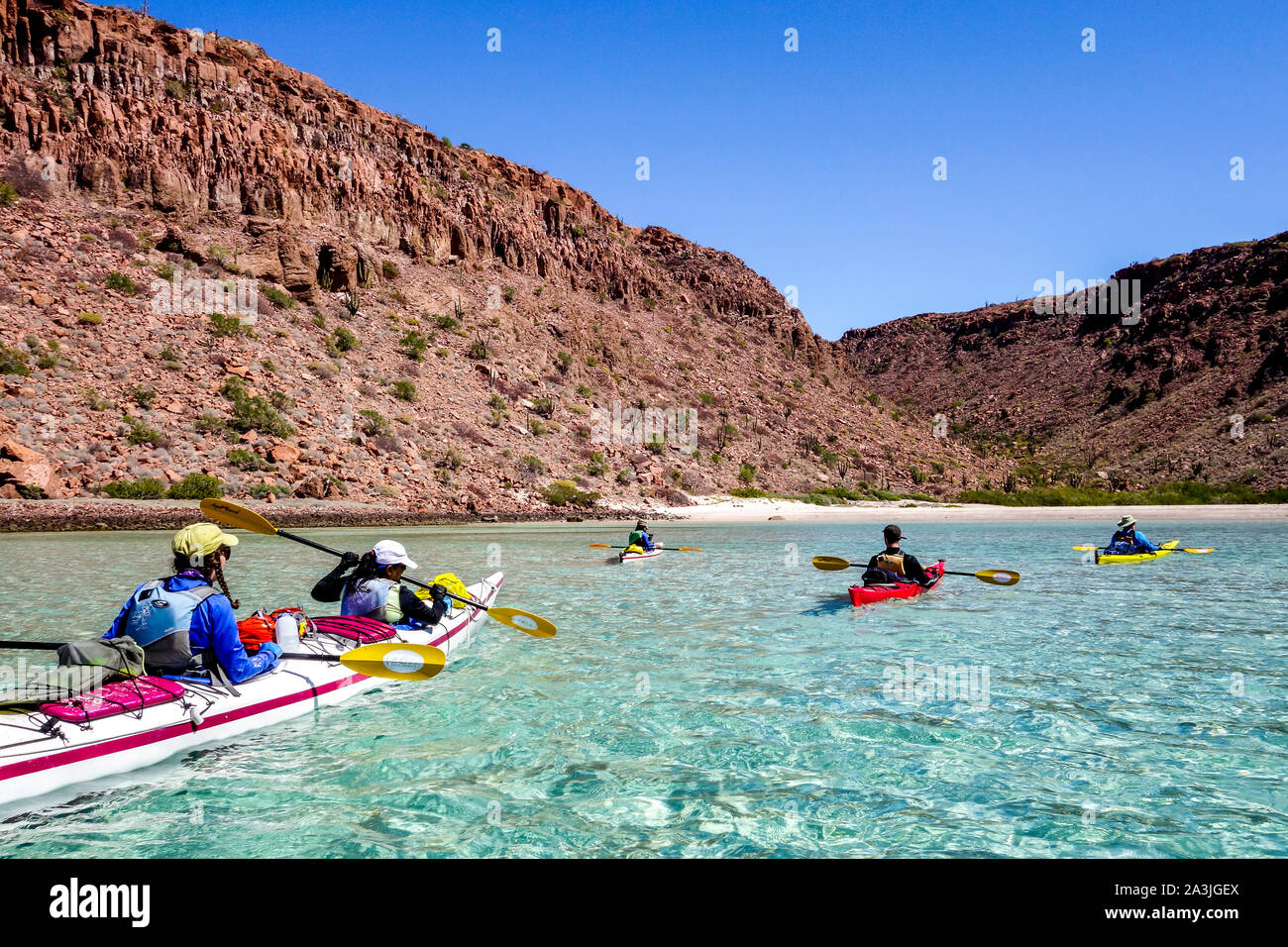 Un groupe d'éco-touristes de la palette pour un bay au large de l'Île Espíritu Santo dans le golfe de Californie au large de La Paz sur la péninsule de Basse-Californie, Mexique Banque D'Images