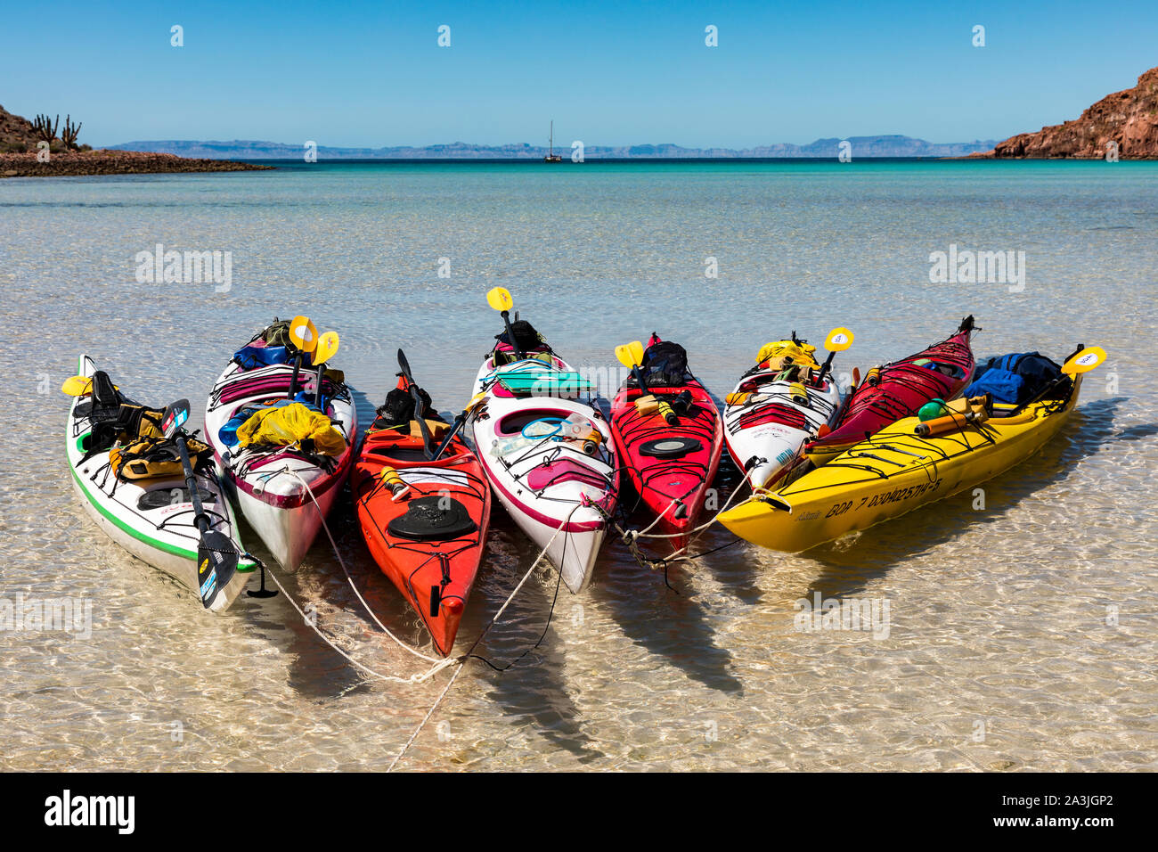 Kayaks flotteur dans une baie au large de l'Île Espíritu Santo dans le golfe de Californie au large de La Paz sur la péninsule de Baja California, au Mexique. Banque D'Images