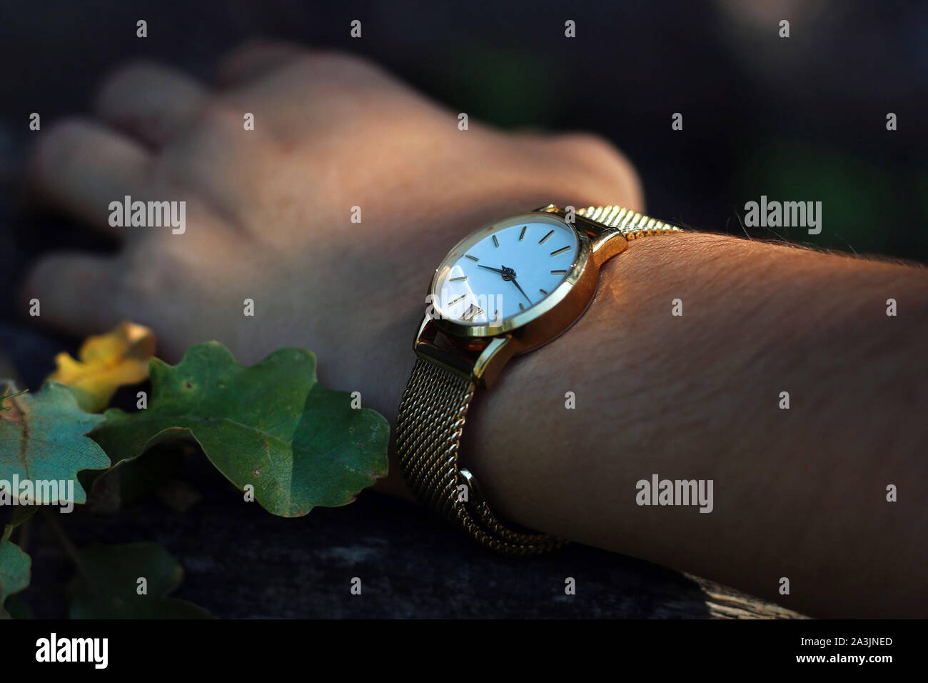 Jeune fille avec une montre en or et quartz sur son poignet. Les bijoux en or  pur Photo Stock - Alamy