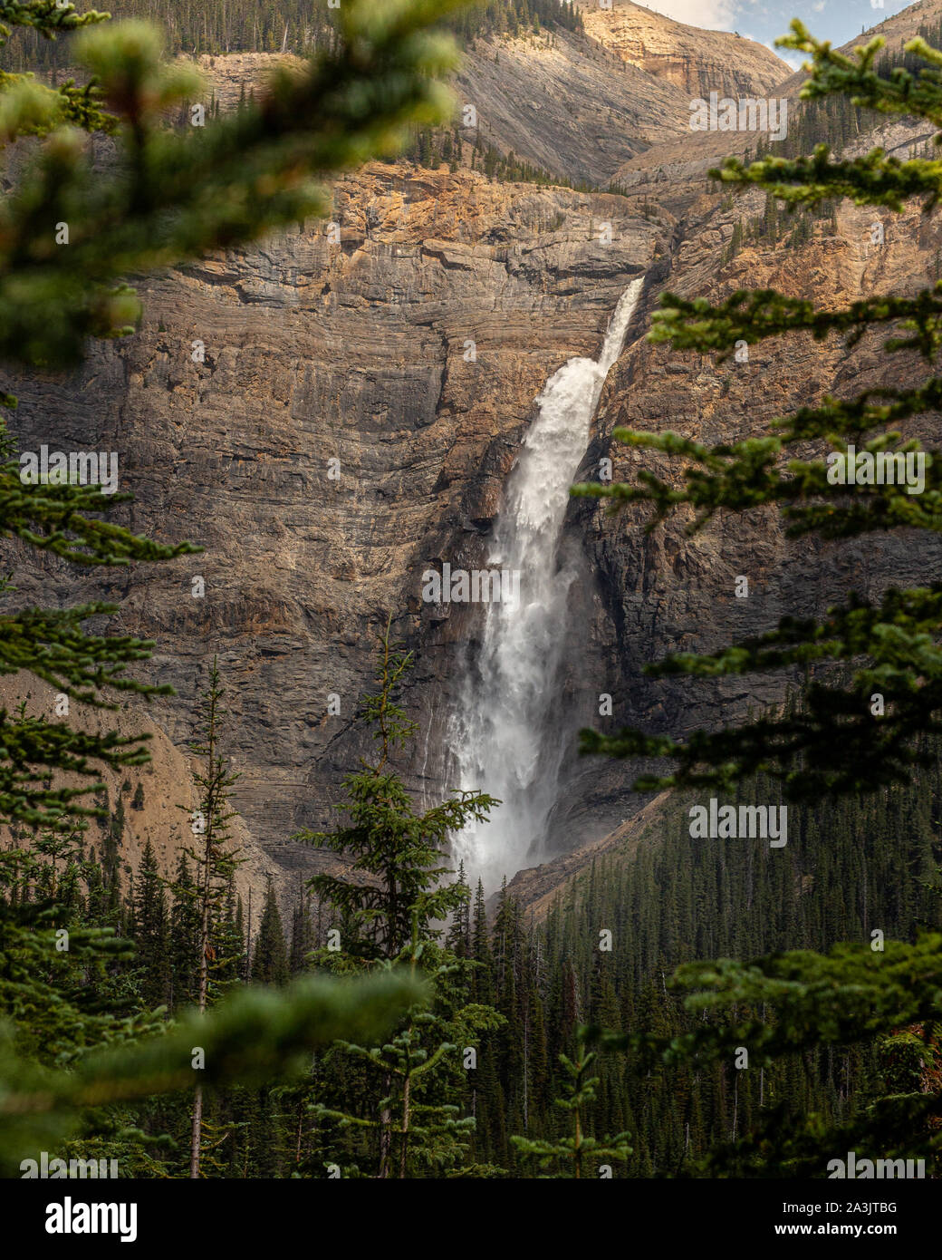 Parc national Yoho Chutes Takakkaw Paysage d'été Banque D'Images