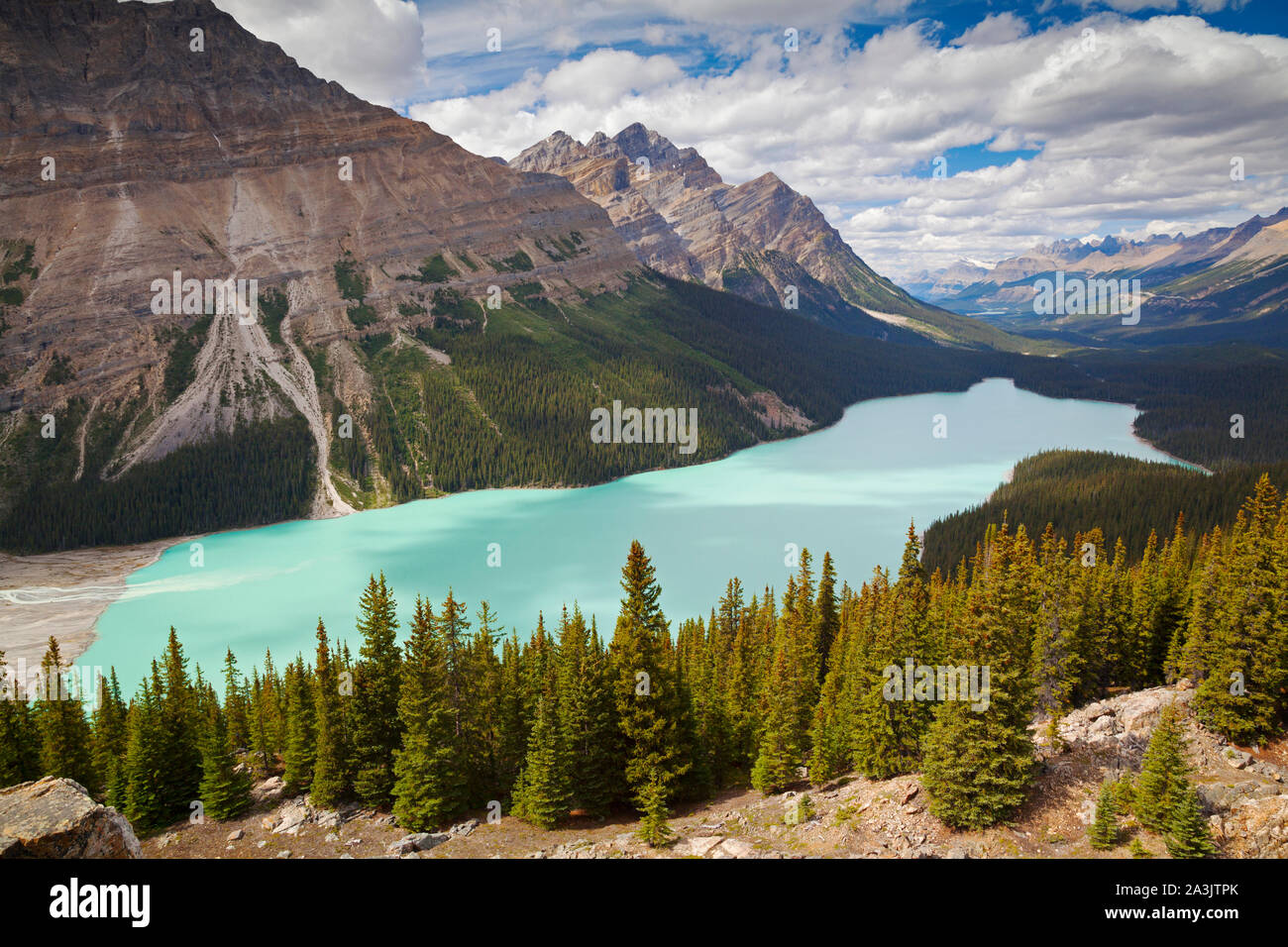 Le lac Peyto, Banff National Park, Alberta, Canada Banque D'Images