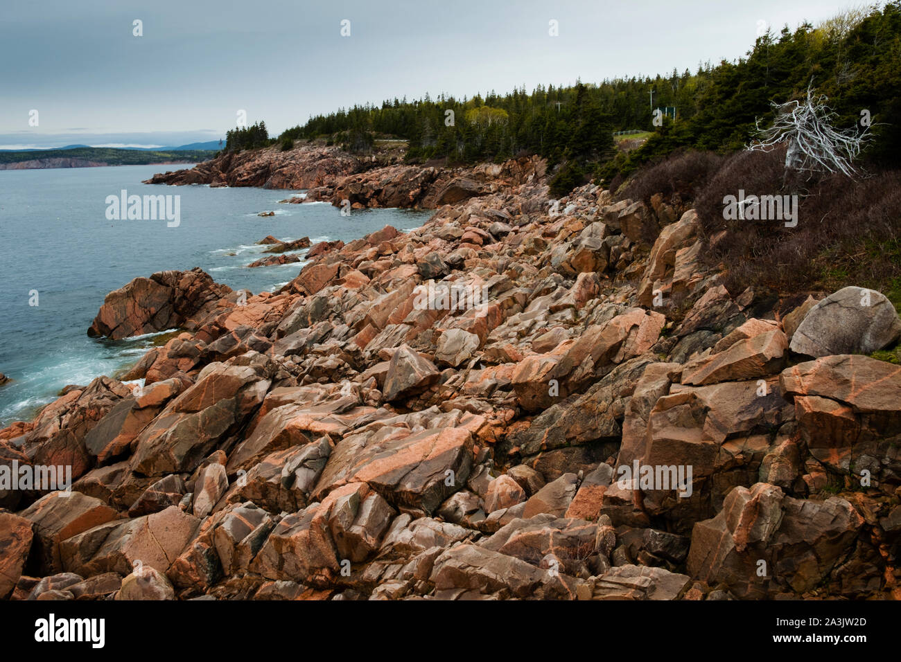 Affleurement rocheux de Red Rocks dans Green Cove, l'île du Cap-Breton, Nouvelle-Écosse Banque D'Images