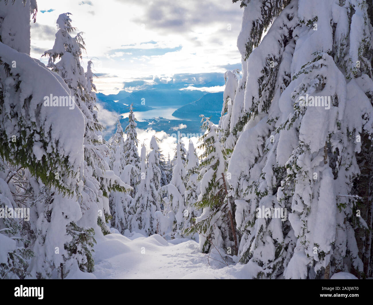 Point de vue de Howe Sound et de Squamish, BC Parc provincial Garibaldi Banque D'Images