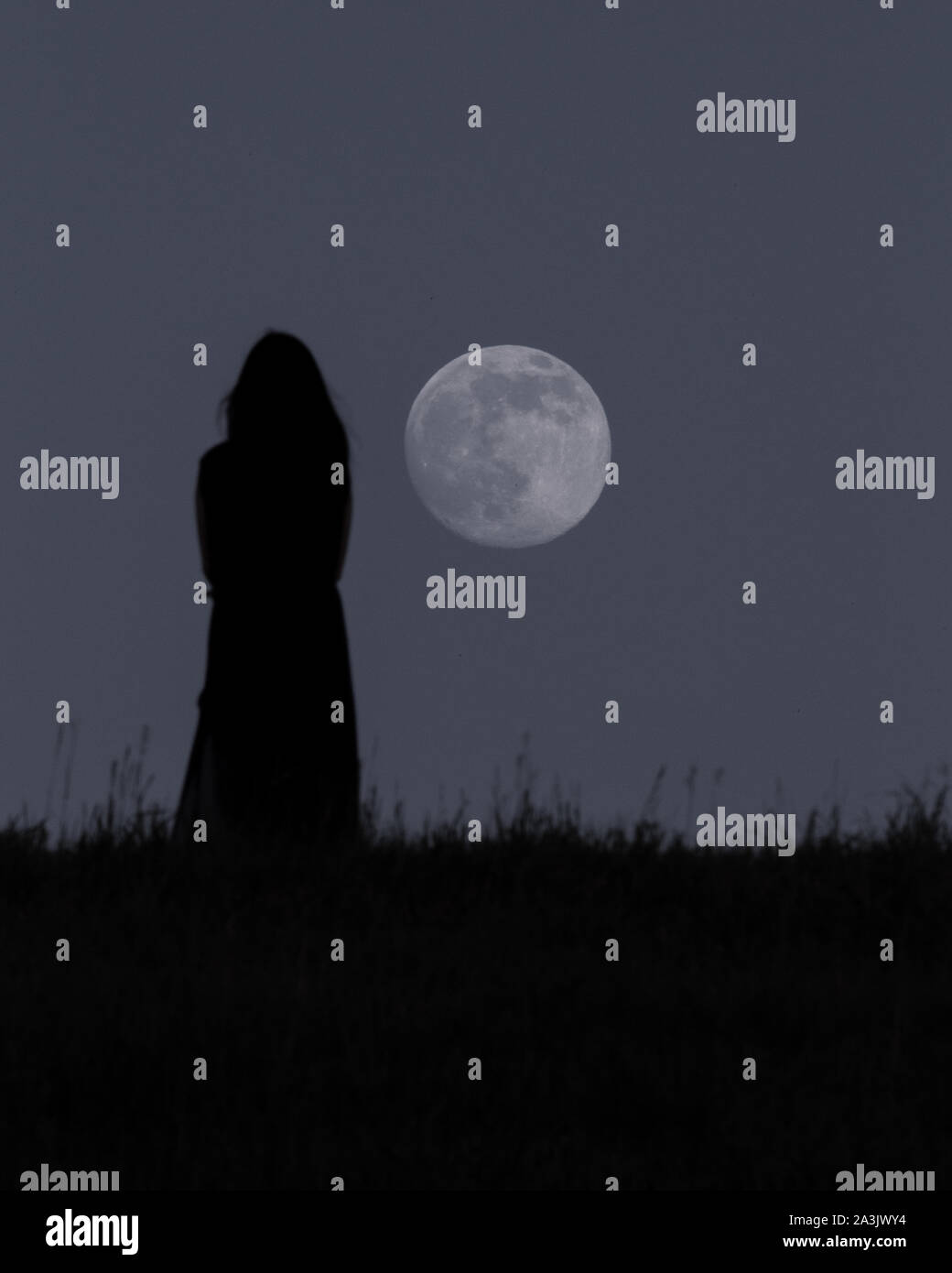 Plus près de Banque D'Images