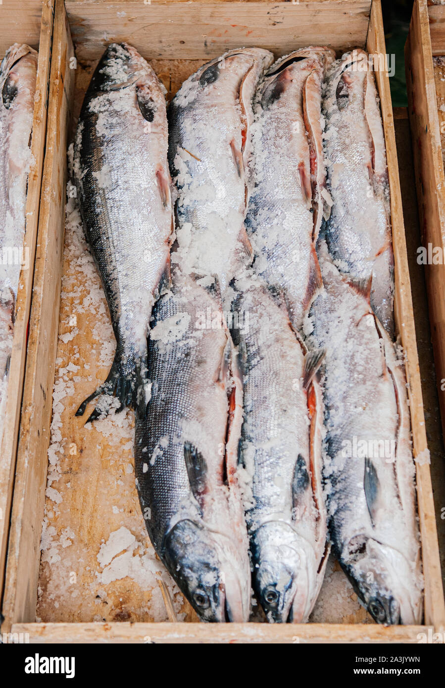 Matières premières fraîches entières salmons japonais avec un coffret en bois recouvert de glace Vue d'en haut. Poissons en Asaichi matin marché, Hakodate, Hokkaido Banque D'Images