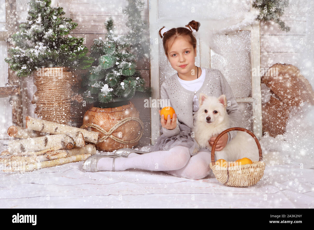 Fille avec un chien blanc dans l'intérieur du Nouvel An Banque D'Images