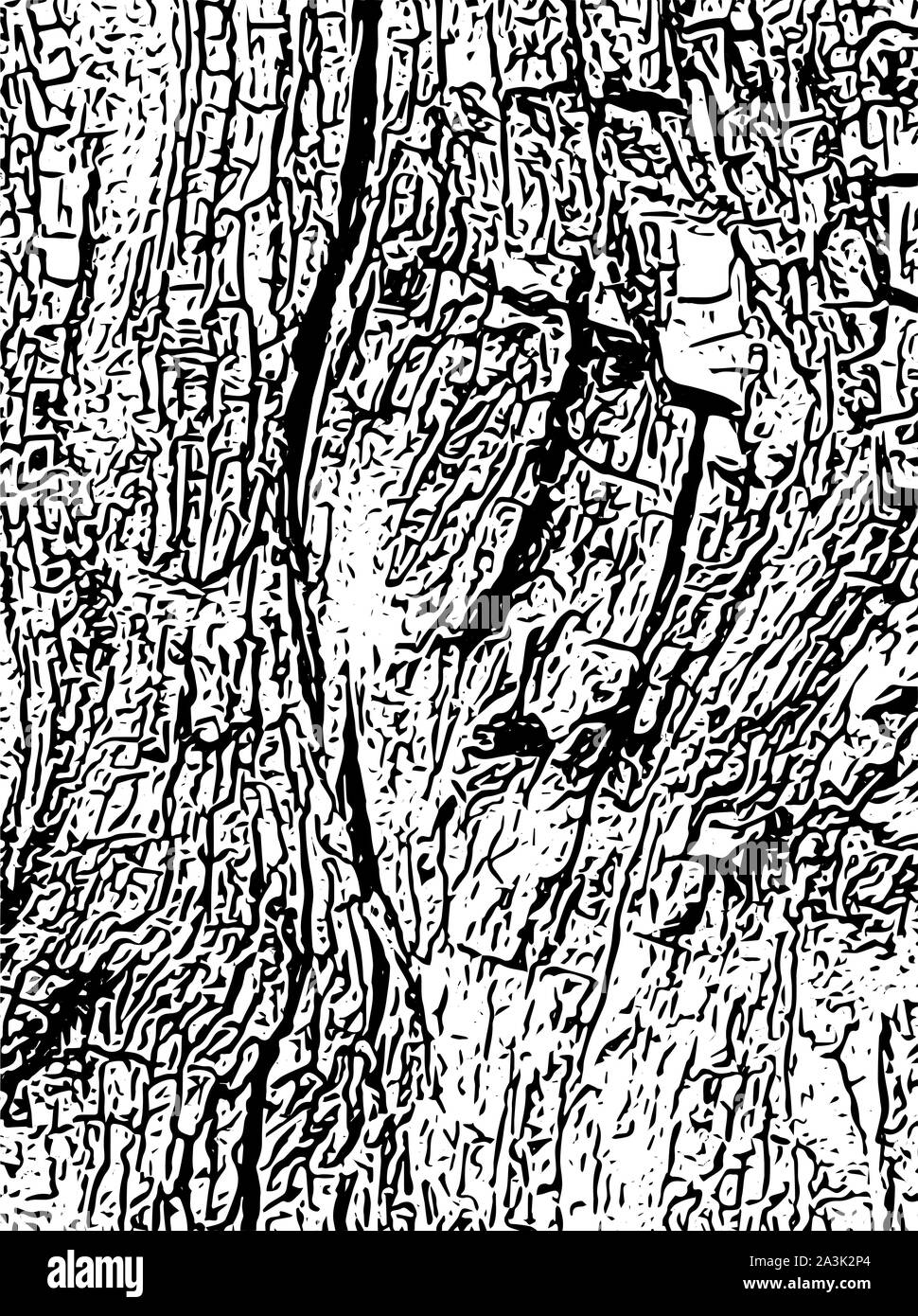 Illustration graphique en noir et blanc. Dessin au crayon d'écorce en arrière-plan gris. Banque D'Images