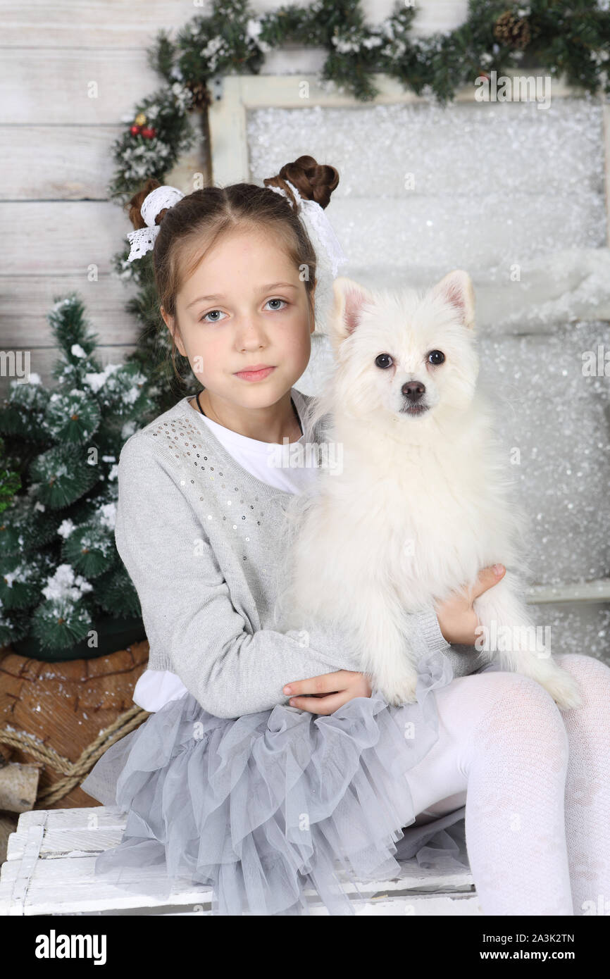 Fille avec un chien blanc dans l'intérieur du Nouvel An Banque D'Images