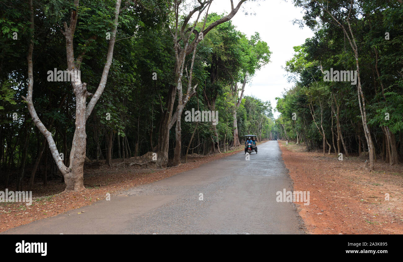 Siem Reap, Cambodge - 2 février 2017 : photo du paysage de la route du parc, perspective Banque D'Images