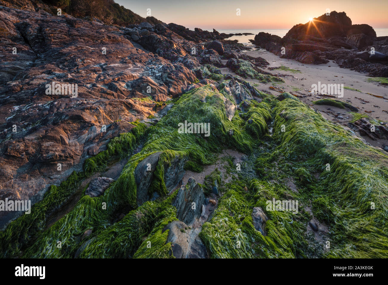 Rochers incrustés d'algues et de lichen sur la plage à la baie Kinnagoe au lever du soleil, péninsule d'Inishowen, Co Donegal, Irlande Banque D'Images