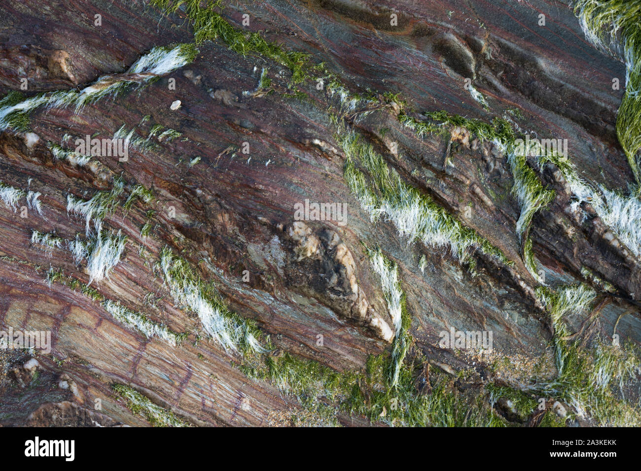 Les textures de roches sur la plage de la baie Kinnagoe au lever du soleil, péninsule d'Inishowen, Co Donegal, Irlande Banque D'Images
