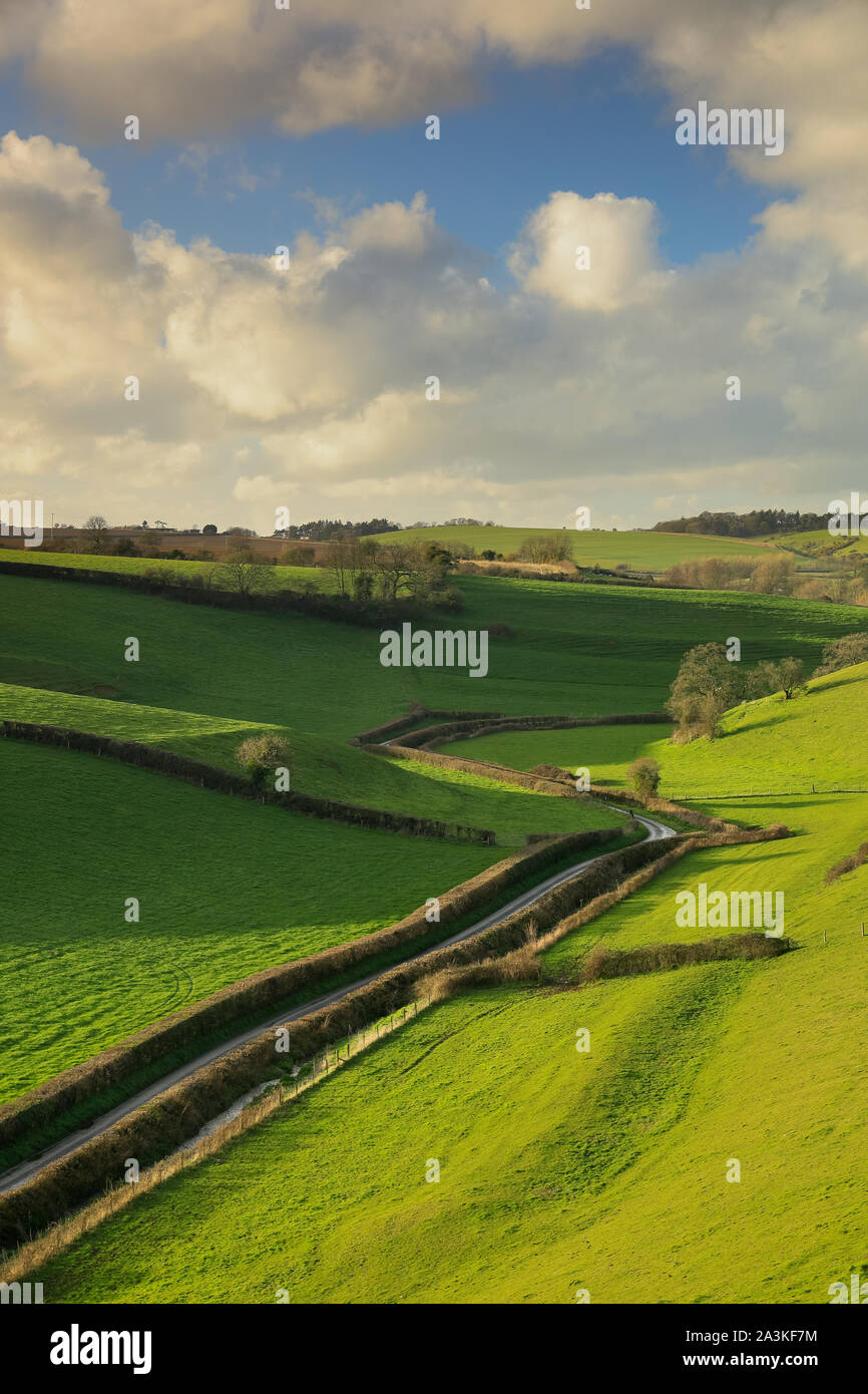 Printemps dans la vallée entre Oborne et Poyntington, Dorset, England, UK Banque D'Images