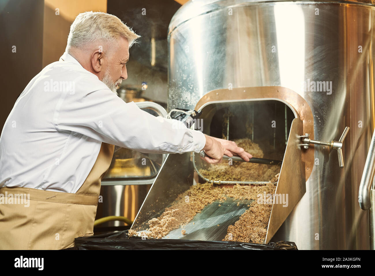 Personnes âgées, les travailleurs de la brasserie, debout près de l'équipement pour le fraisage et obtenir passé avec pelle à grains. Certains spécialistes en chemise blanche et tablier brun à grains de malt broyé à. Banque D'Images