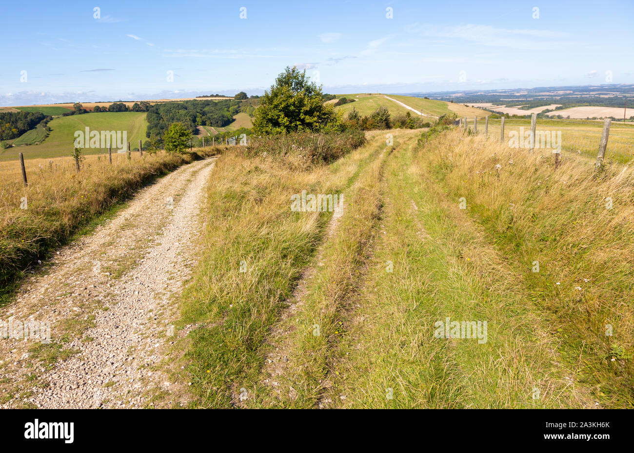 La voie le long du haut de la pente de l'escarpement d'escarpe Chalk Hill, Walbury Inkpen au Camp, Berkshire, England, UK Banque D'Images