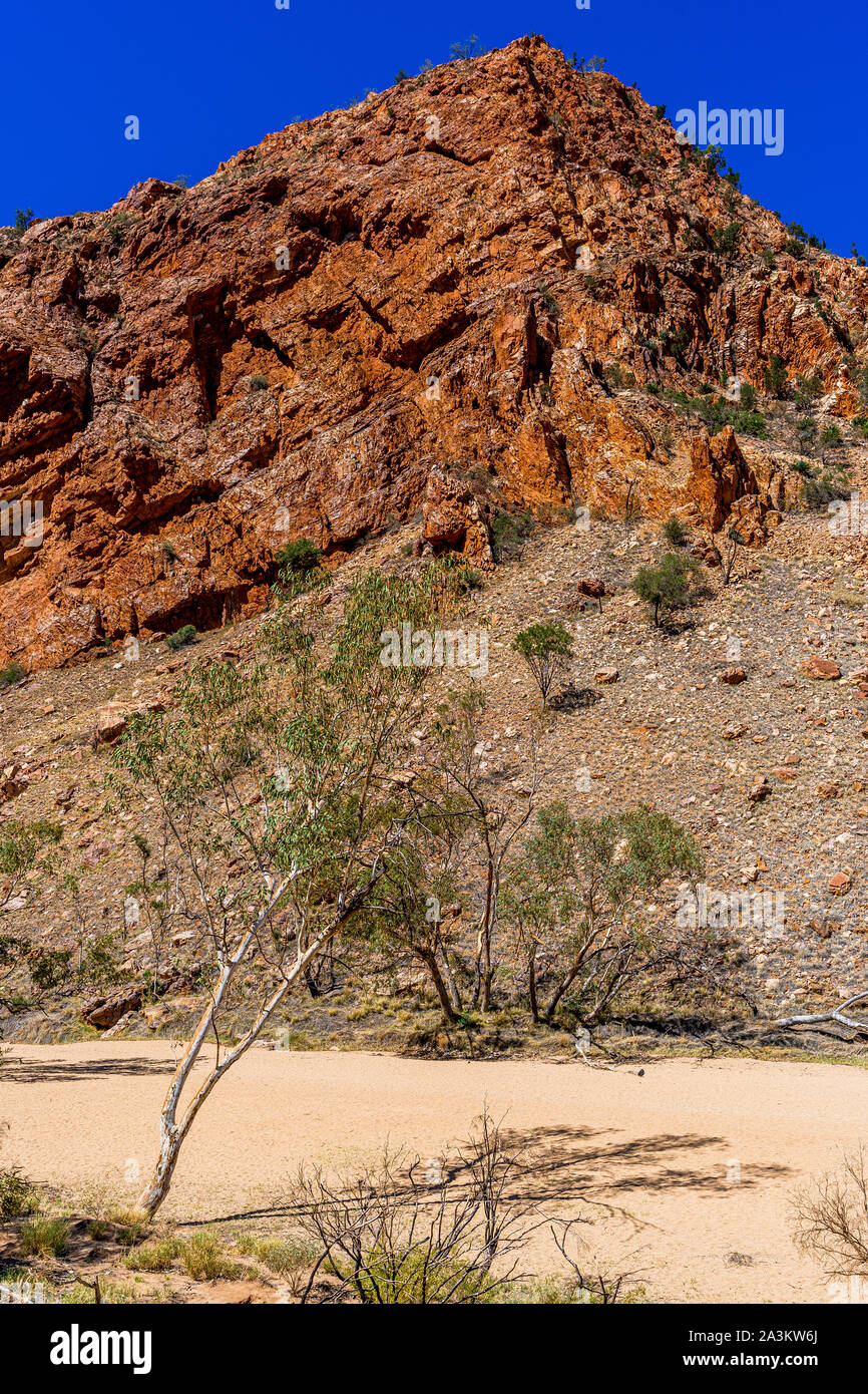 La piste de randonnée et le lit de rivière sec qui mène à Simpsons Gap dans le territoire du Nord, en Australie. Banque D'Images
