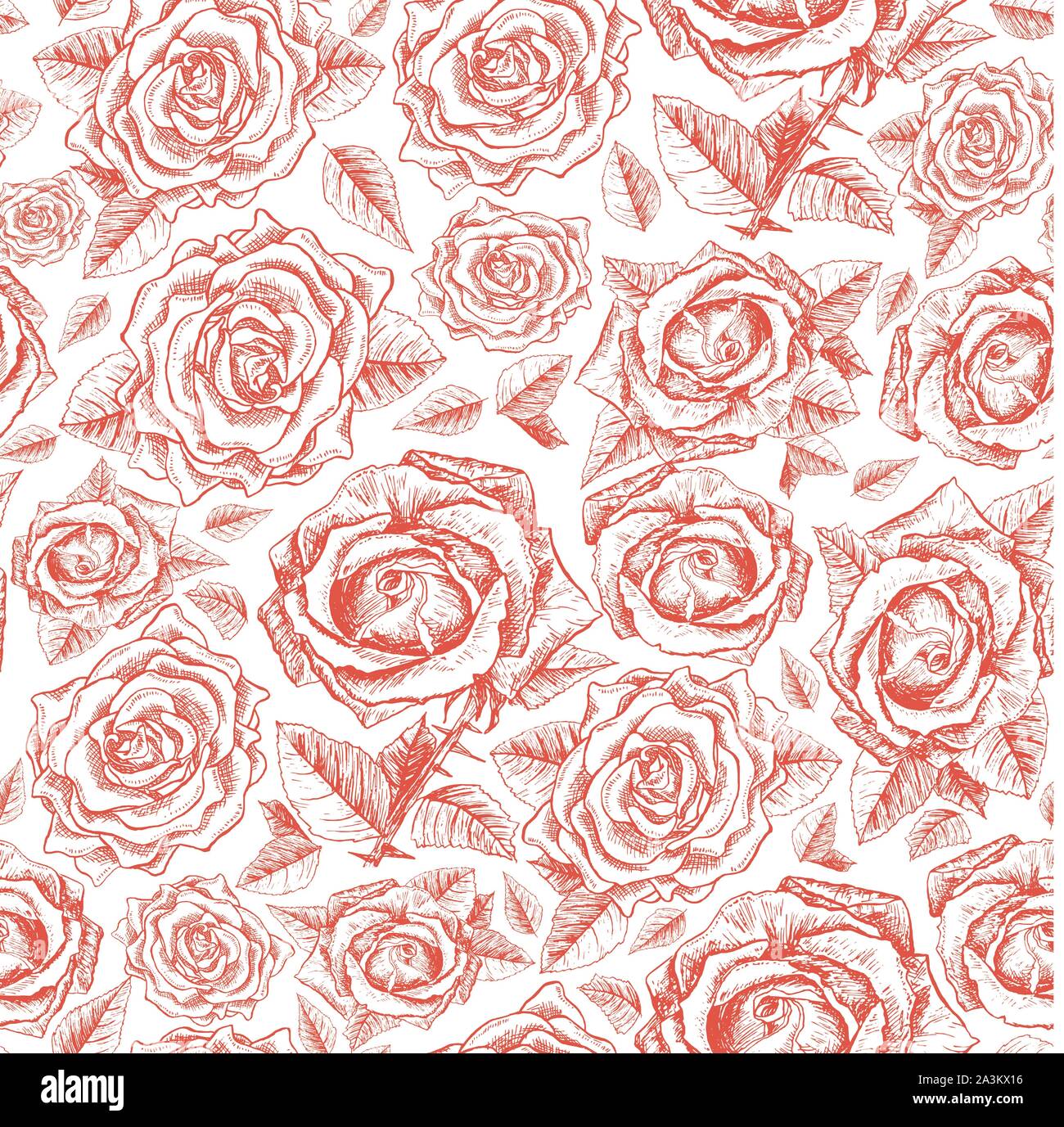 Roses rouge transparente avec contour modèle croquis dessinés à la main, des fleurs pour la Saint Valentin Papier de cadeau de mariage ou de la conception de cartes. Freehand gravée Rose Texture. Floral Pattern, vecteur d'été Imprimer Fond Illustration de Vecteur