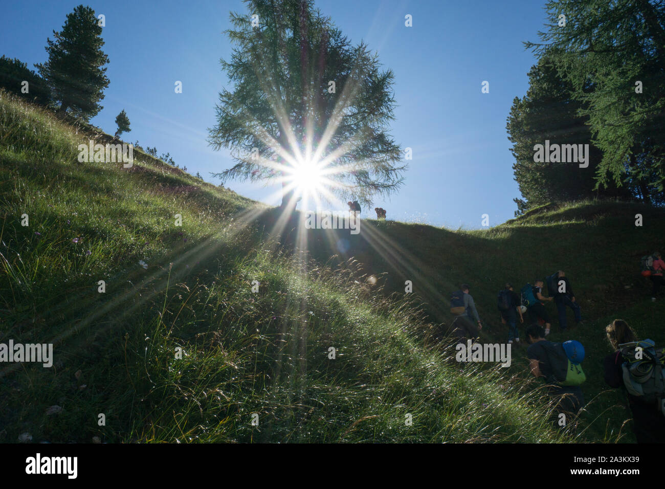 De nombreux randonneurs groupe de prendre une pause et se reposer sous un arbre en silhouette avec le soleil briller à travers eux Banque D'Images