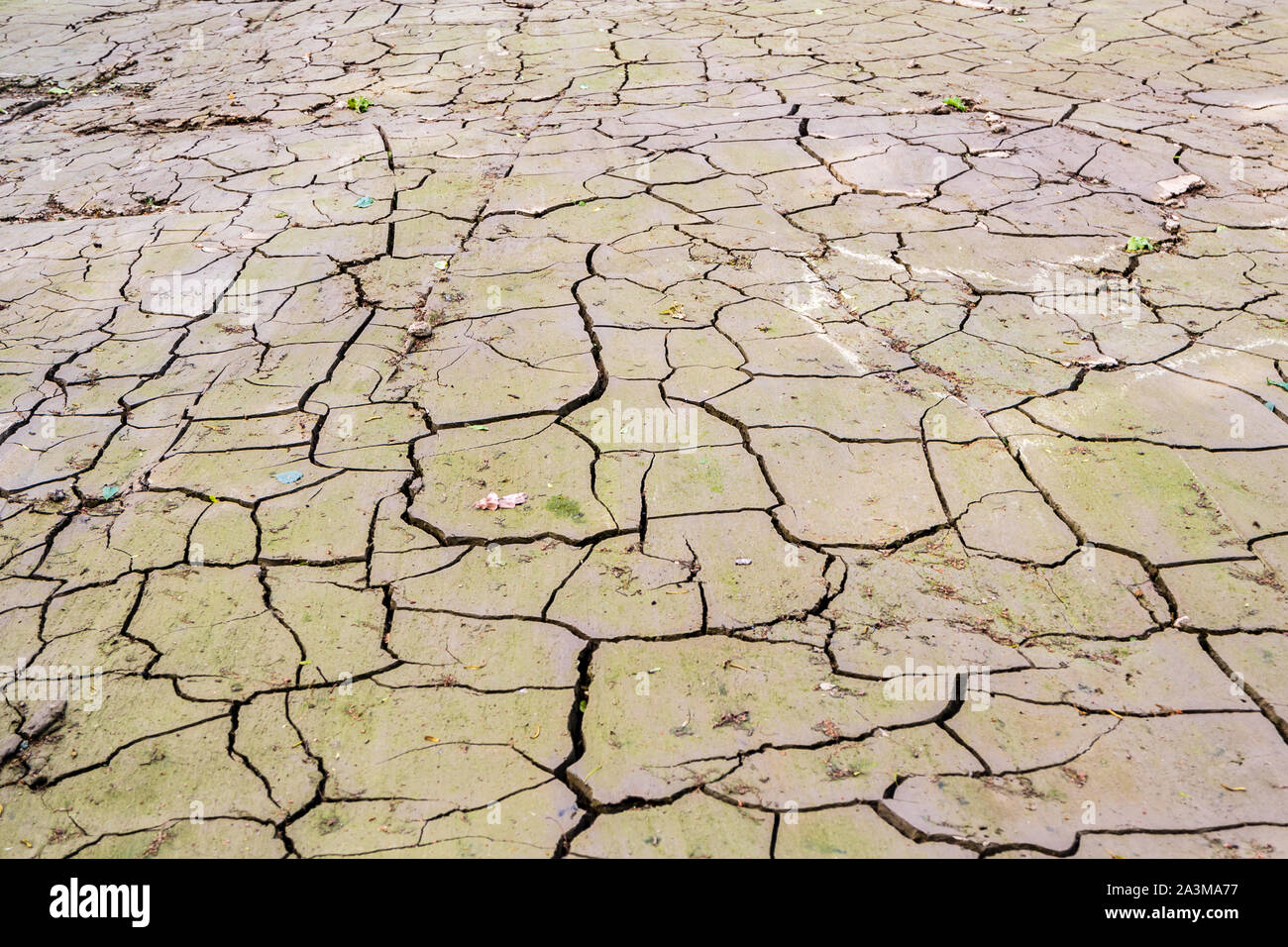 La terre sèche se fissure le changement climatique Banque D'Images