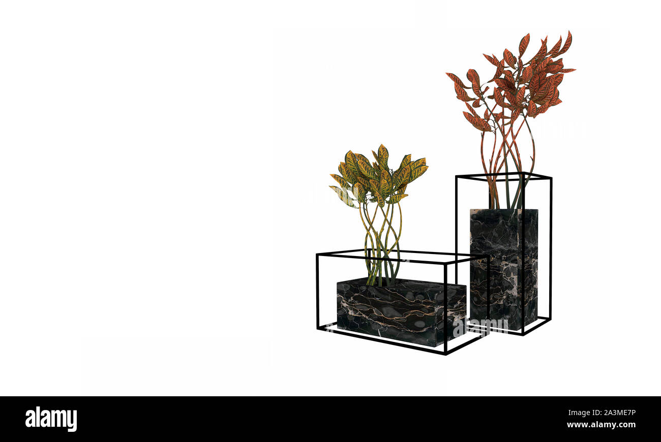 3D render of fleurs en pot Banque D'Images