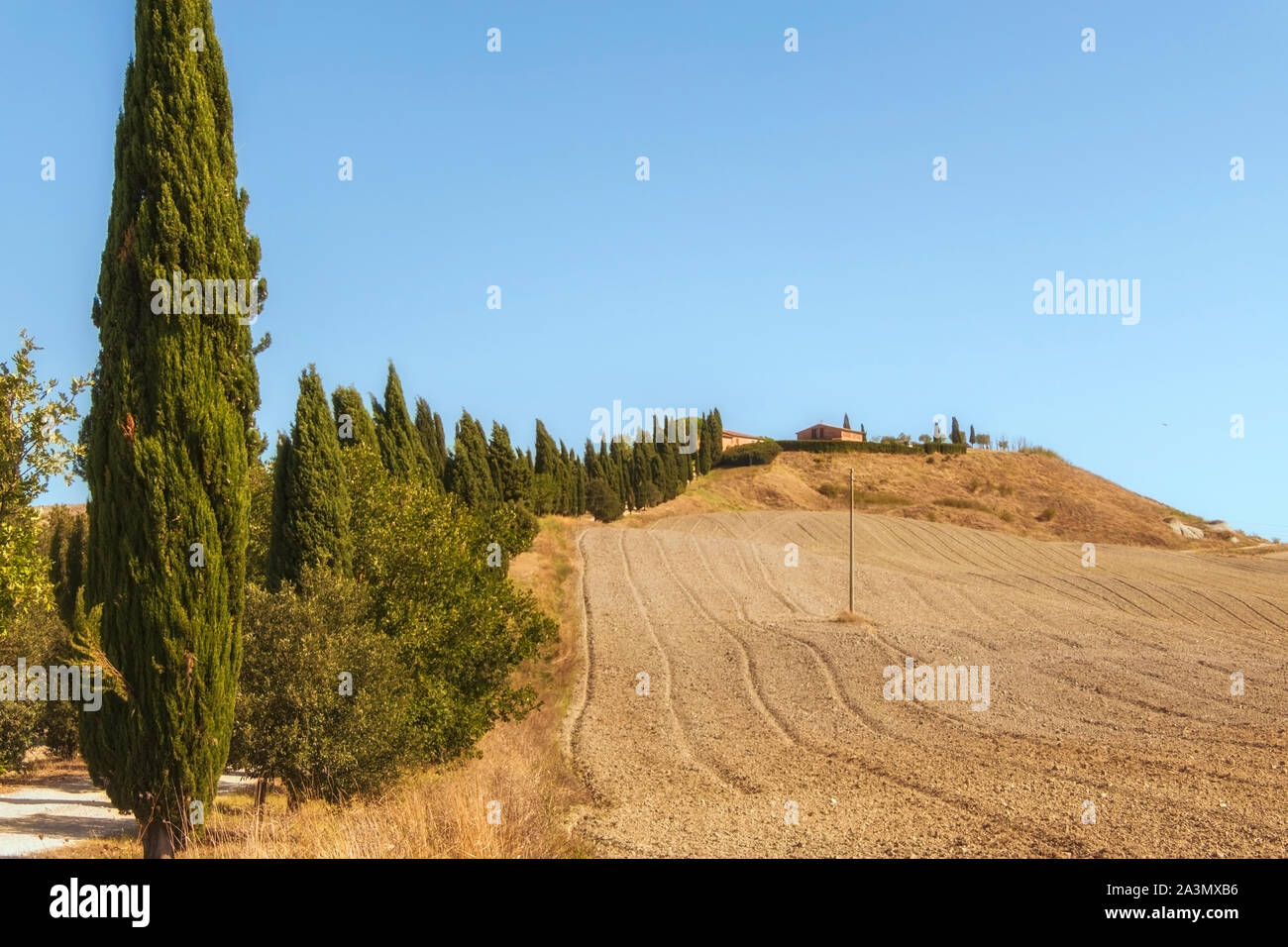 Les paysages typiques de la province de Sienne en Toscane, Italie. Collines du Cyprès, les champs labourés, les routes et les maisons. Début de saison d'automne. Banque D'Images