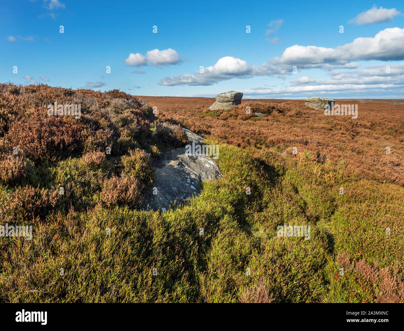 Les roches pierre meulière sur Moor Campsites Canet-en-Roussillon Campsites Canet-en-Roussillon proche de Nidderdale Yorkshire Angleterre du Nord Banque D'Images