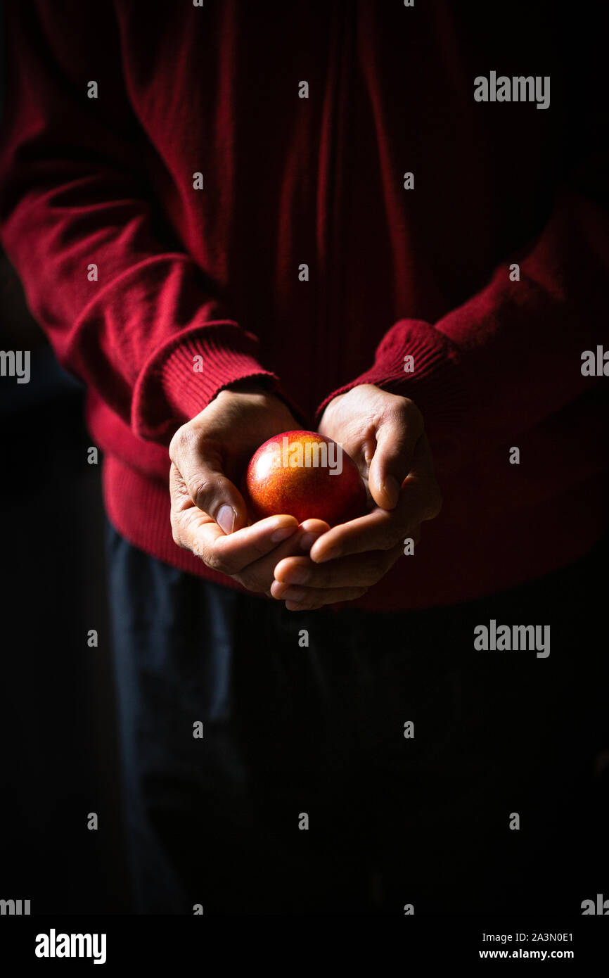 Personne tenant en main une nectarine mûre Banque D'Images