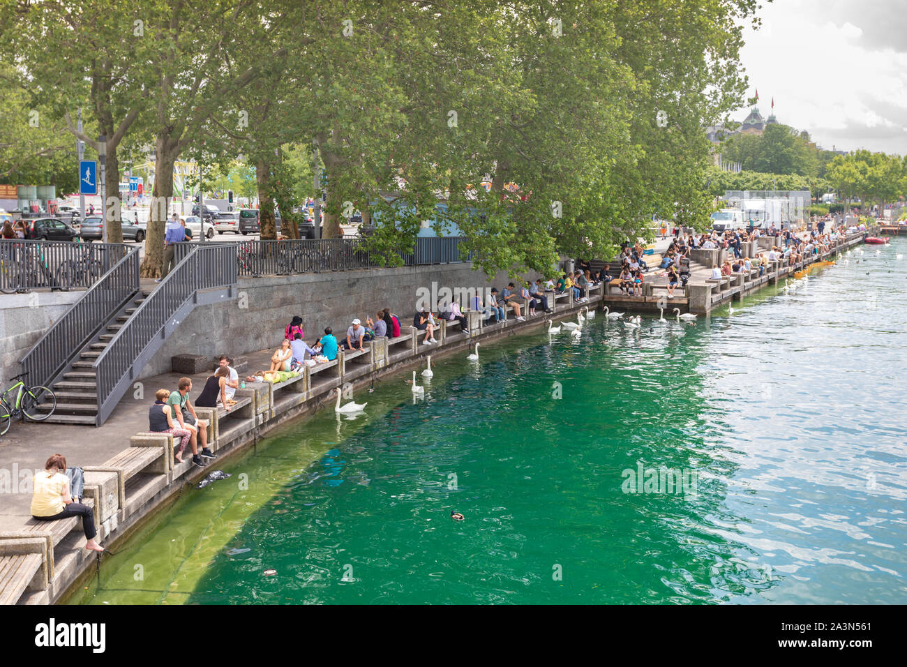 Les gens se détendant à Zürich Bellevue au lac de Zurich, Suisse. Cygnes et canards nageant sur l'eau. Banque D'Images