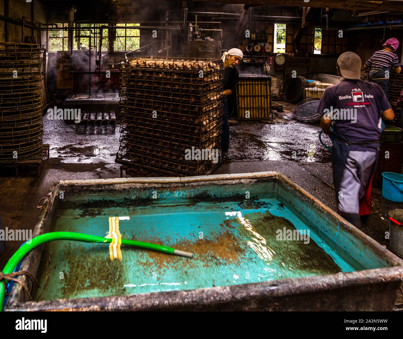 Yasuhisa Serizawa dans Nishiizu-Cho la fabrication Katsuobushi, Shizuoka, Japon Banque D'Images