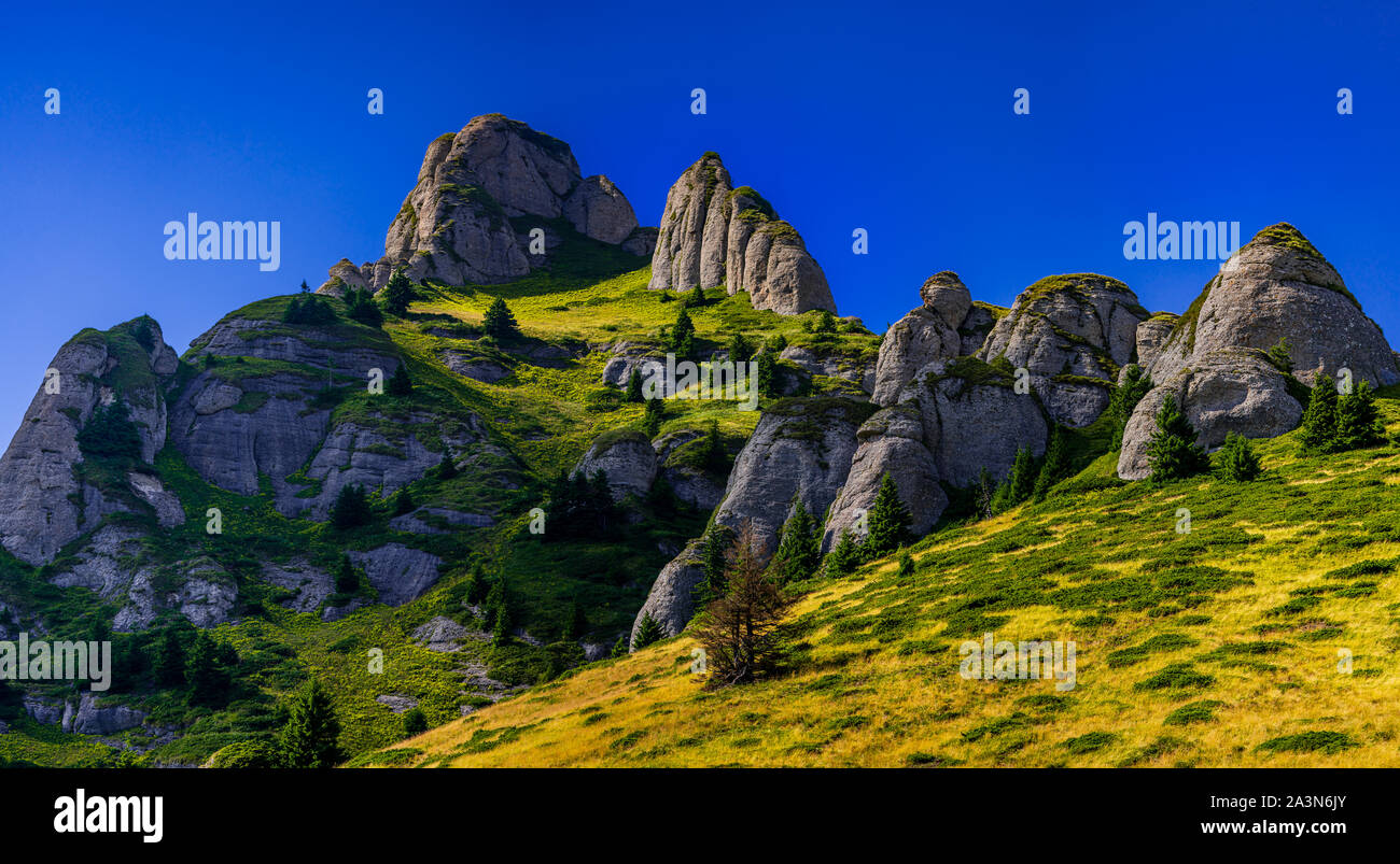 Panorama majestueux des montagnes Ciucas dans le centre de la Roumanie, de l'Europe sur une bonne journée ensoleillée avec fond bleu ciel sans nuages Banque D'Images