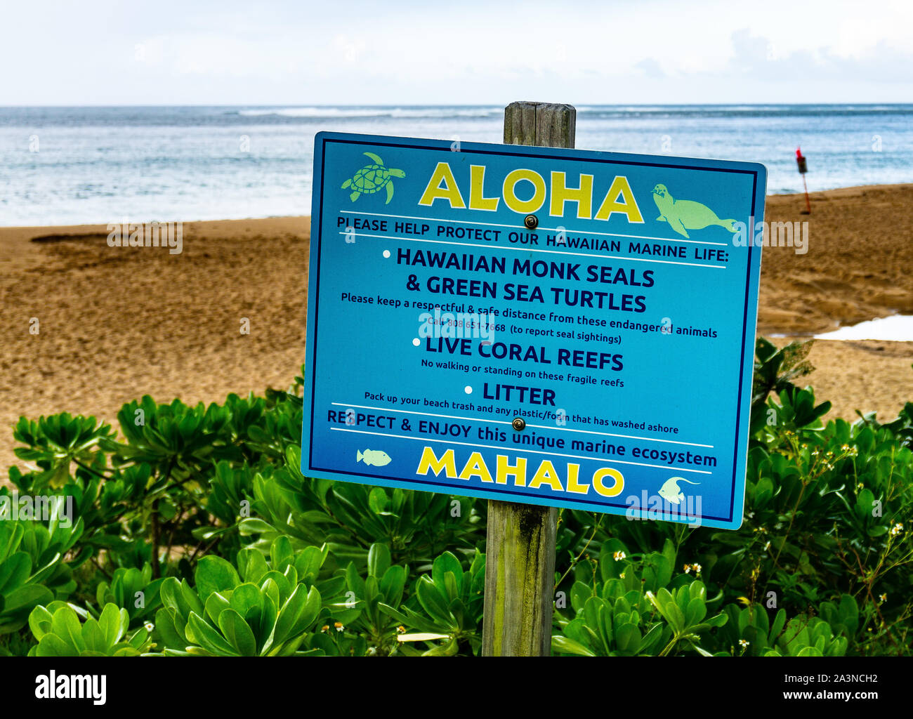 La vie marine signe, Hanalei, Kauai, Hawaii Banque D'Images