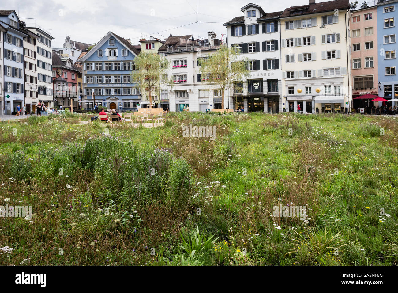 Insel in der Stadt pré installé par l'artiste Heinrich Gartentor dans la place Münsterhof à Zurich, Suisse Banque D'Images