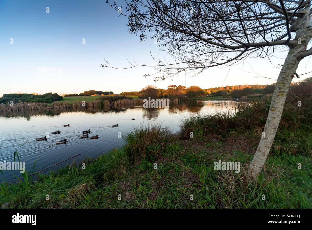 Parc de la ville de Porto Banque D'Images