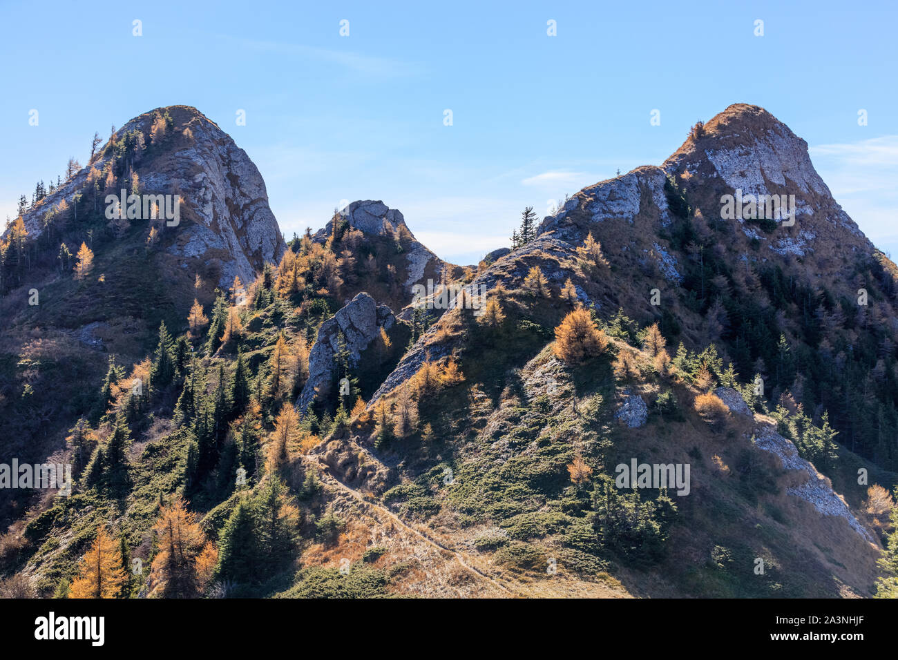 En Montagne Zaganu Massif Ciucas Carpates roumaines Banque D'Images