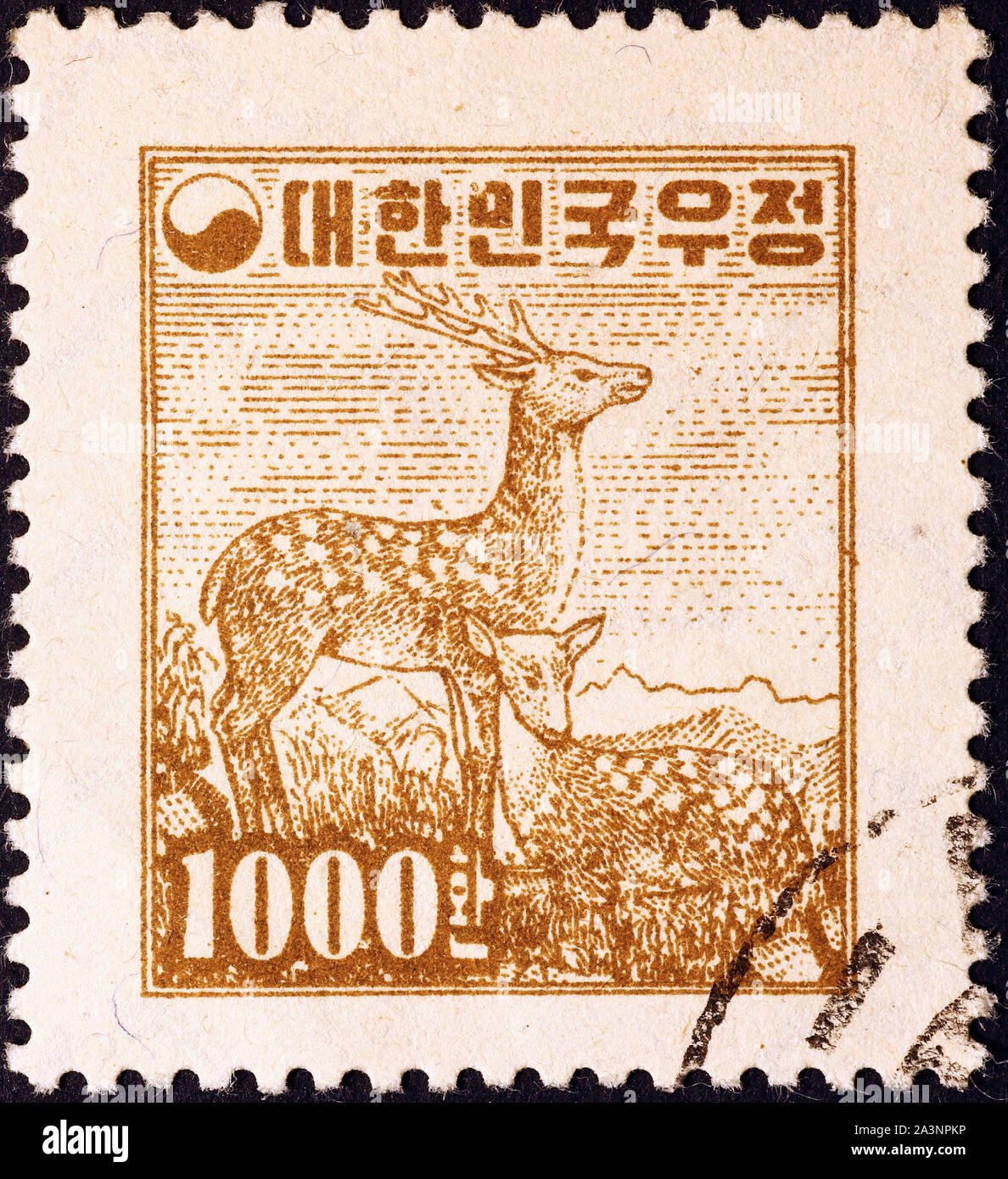 Le cerf sika sur de vieux potage japonais stamp Banque D'Images