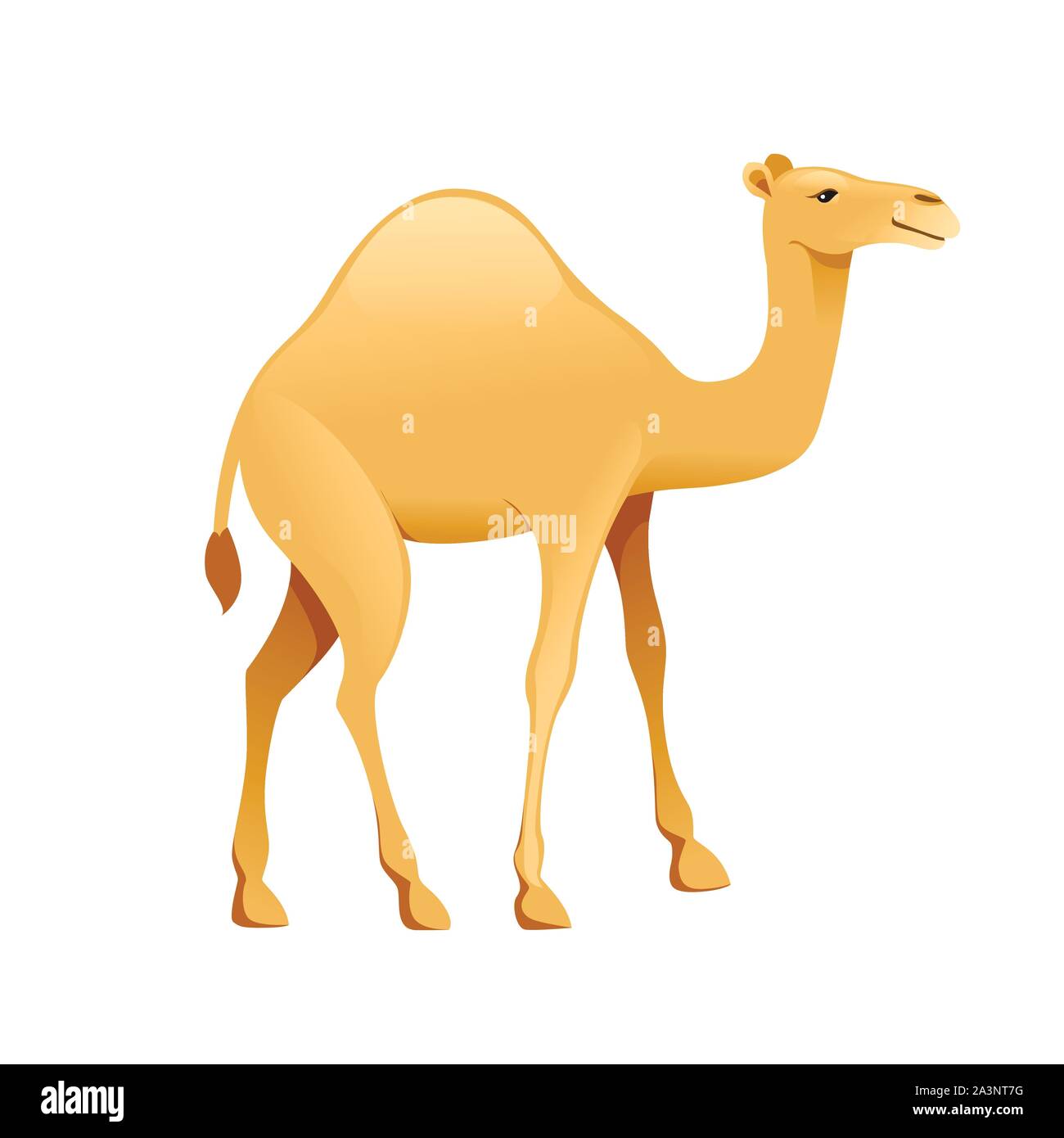 Un Cute cartoon animal camel hump télévision design vector illustration isolé sur fond blanc. Illustration de Vecteur