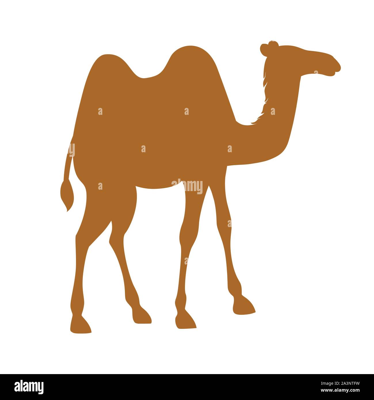 Deux silhouette marron camel hump cartoon animal télévision design vector illustration isolé sur fond blanc. Illustration de Vecteur