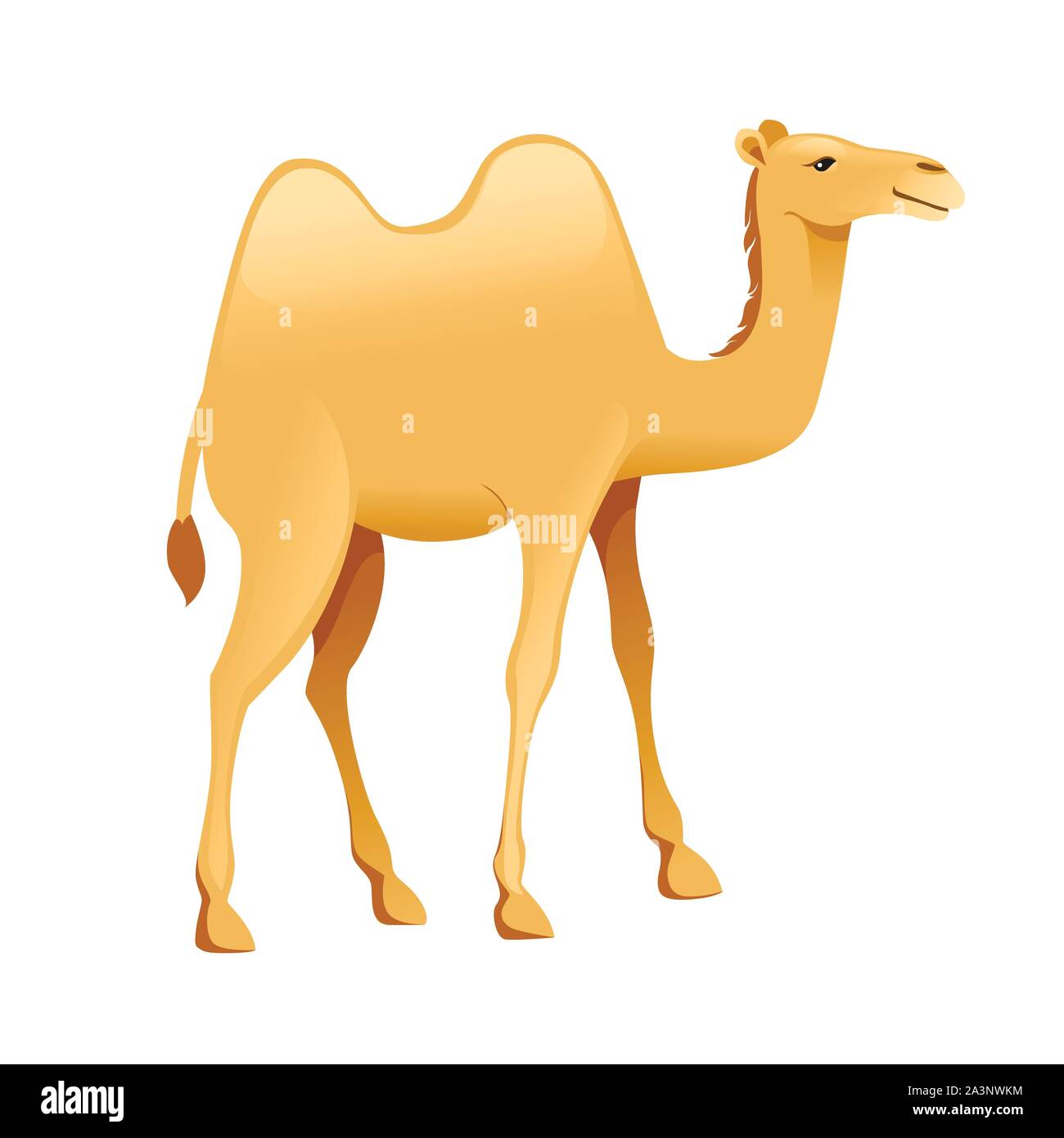 Deux Cute cartoon animal camel hump télévision design vector illustration isolé sur fond blanc. Illustration de Vecteur