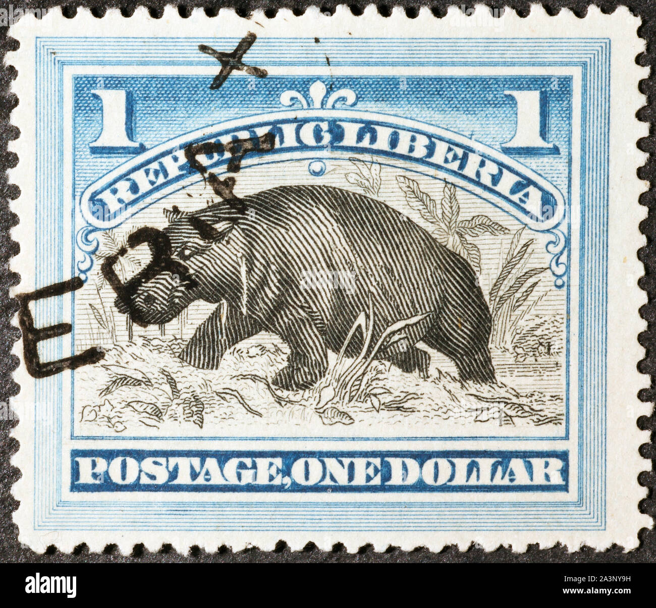 Hippopotamus sur vieux timbre-poste du Libéria Banque D'Images
