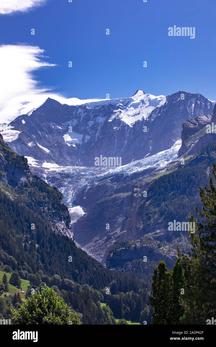 Des sommets enneigés. Ciel bleu. Paysage alpin d'été en été. Zone de Grindelwald. La Suisse. Fiescherhorn et Grindelwald Glacier. Vue panoramique sur les Alpes. Banque D'Images