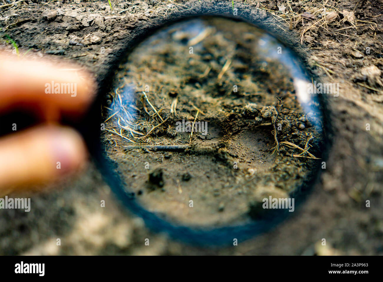 Main tenant une loupe à la recherche d'un bruit de la voie sur le terrain, la criminalité invetigations Banque D'Images